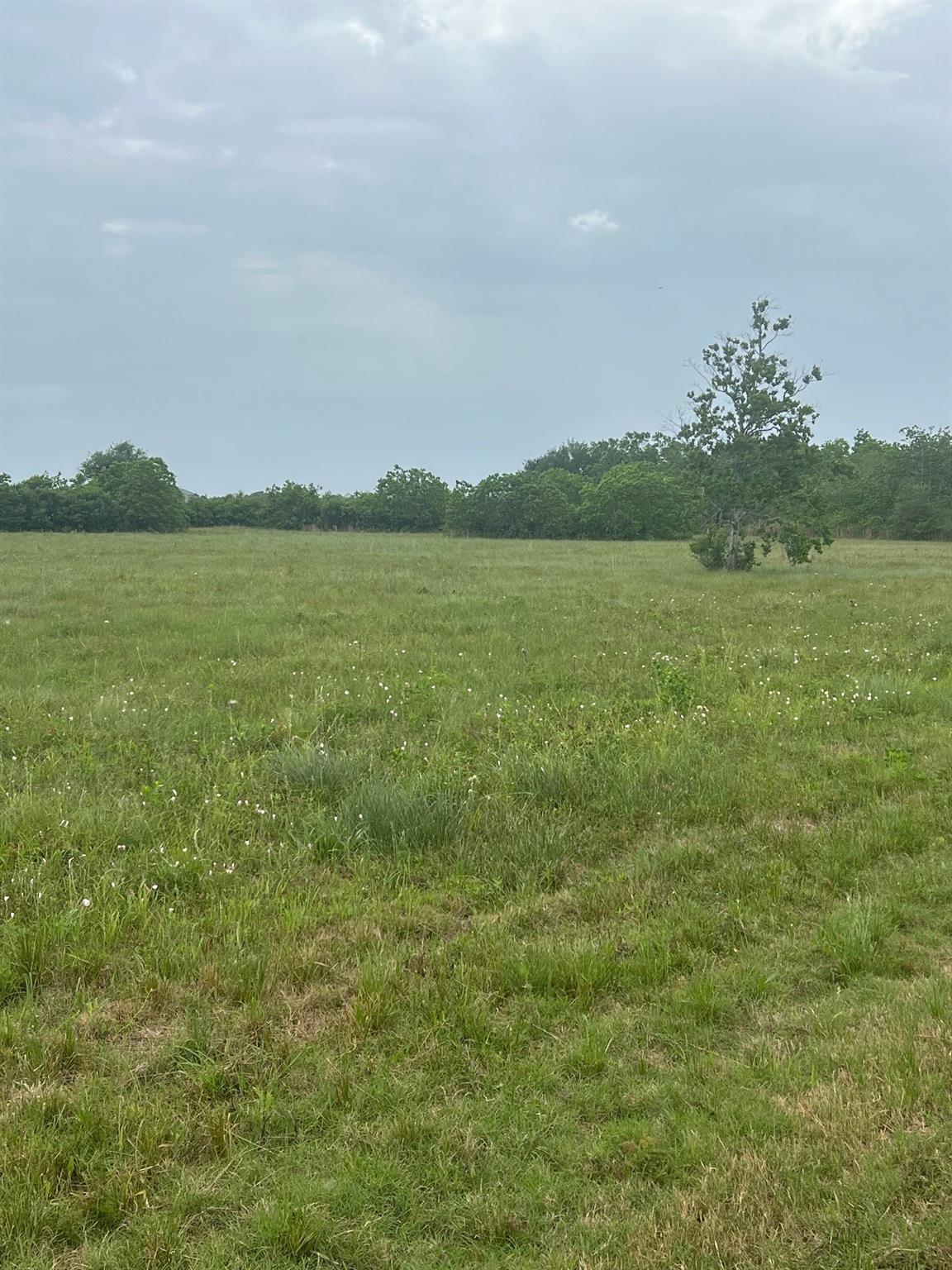 6180 County Road 208