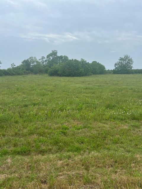 Photo of 6180 County Road 208, Danbury, TX 77534 (MLS # 55317019)