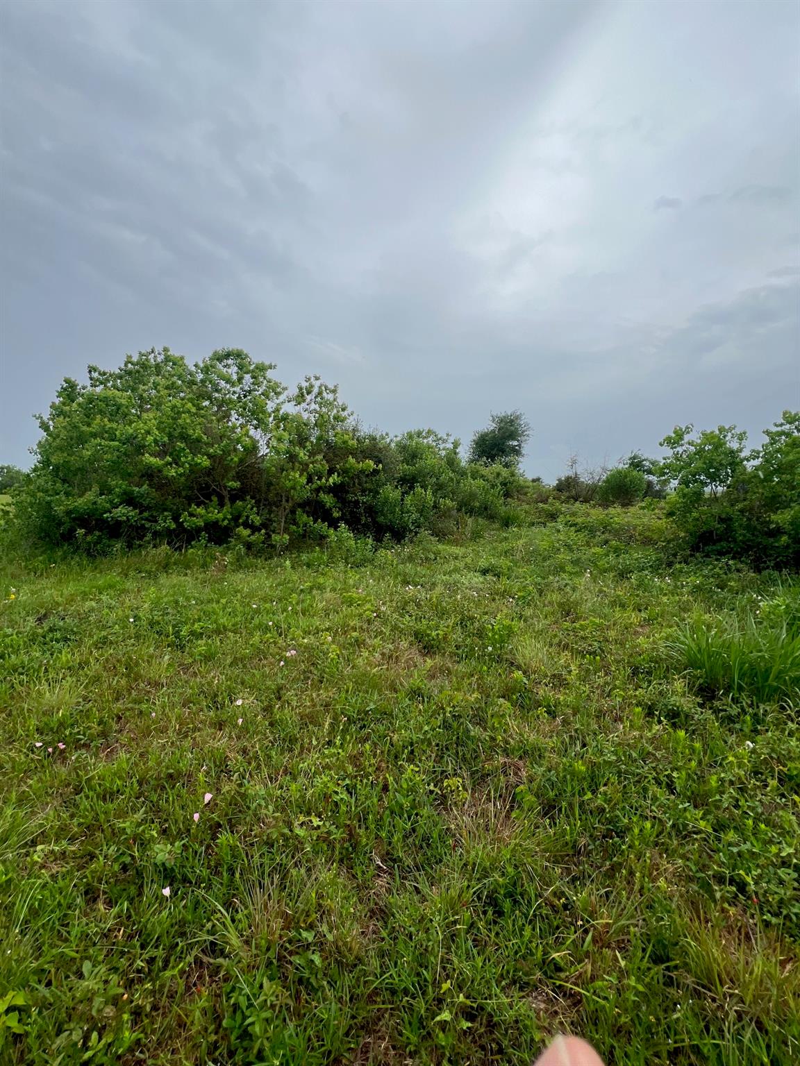 6180 County Road 208