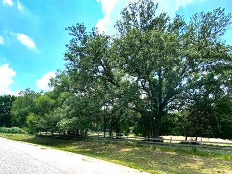 Photo of 9 Live Oak Trail, Cypress, TX 77429 (MLS # 97147666)