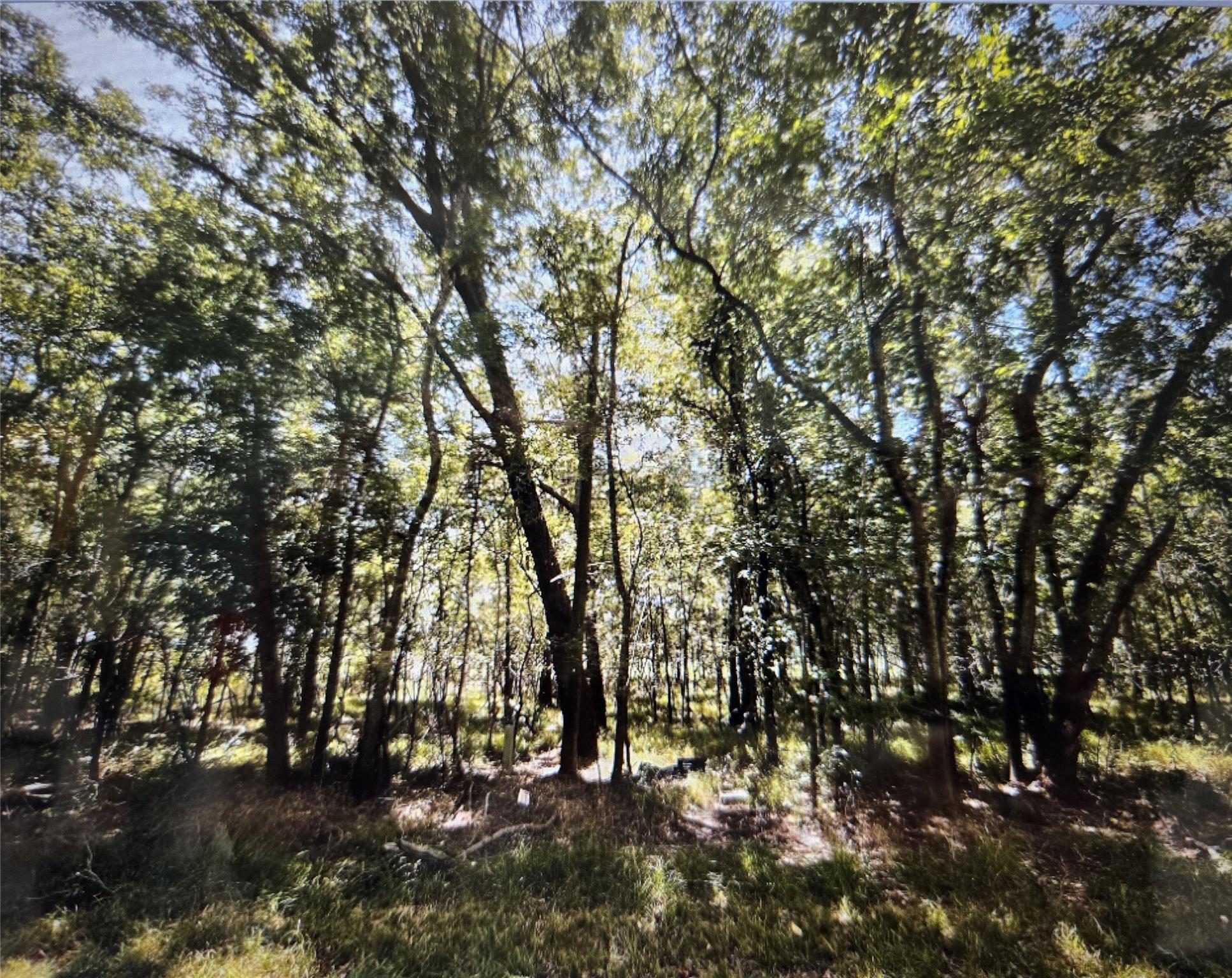 Lot 822 Eskimo Lane/ Path