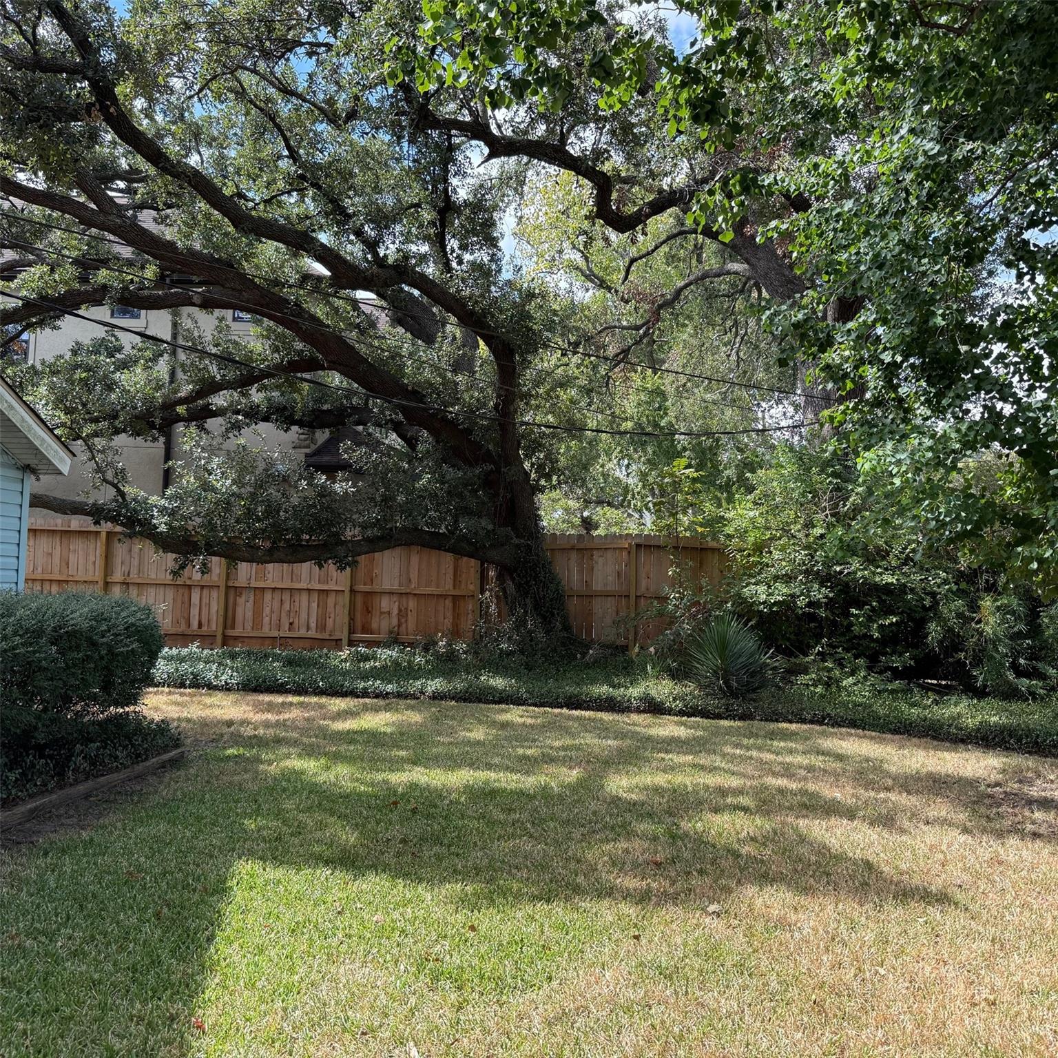 5100 Evergreen Street