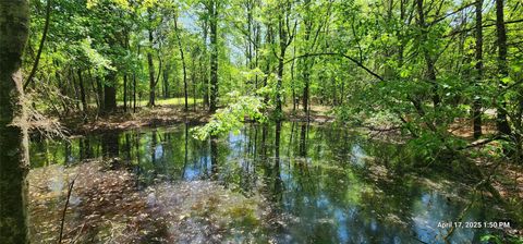 Vacant Land For Sale - TBD Cr 3233 E And Cr 3230<br/> Red River County, Clarksville, TX 75426