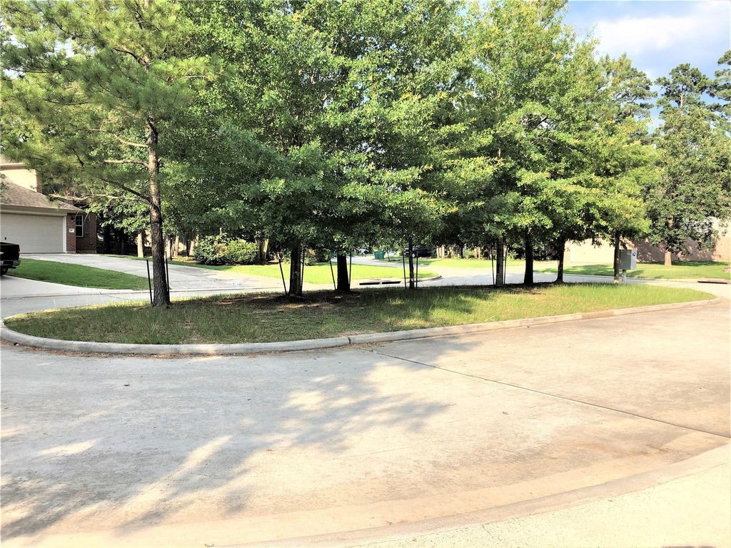 Photo of 62 Rookwood Court, The Woodlands, TX 77382 (MLS # 14187074)