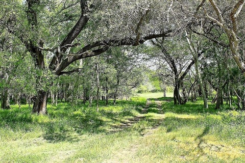 Vacant Land For Sale - TBD Scott Road<br/> Weimar, TX 78962