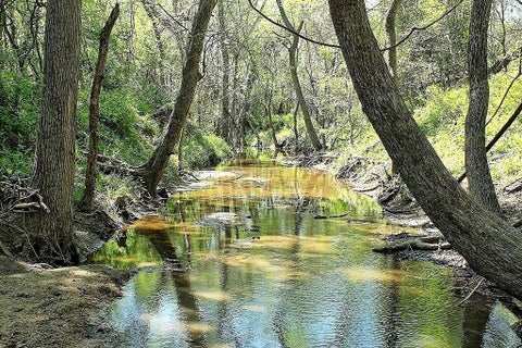 3405173470