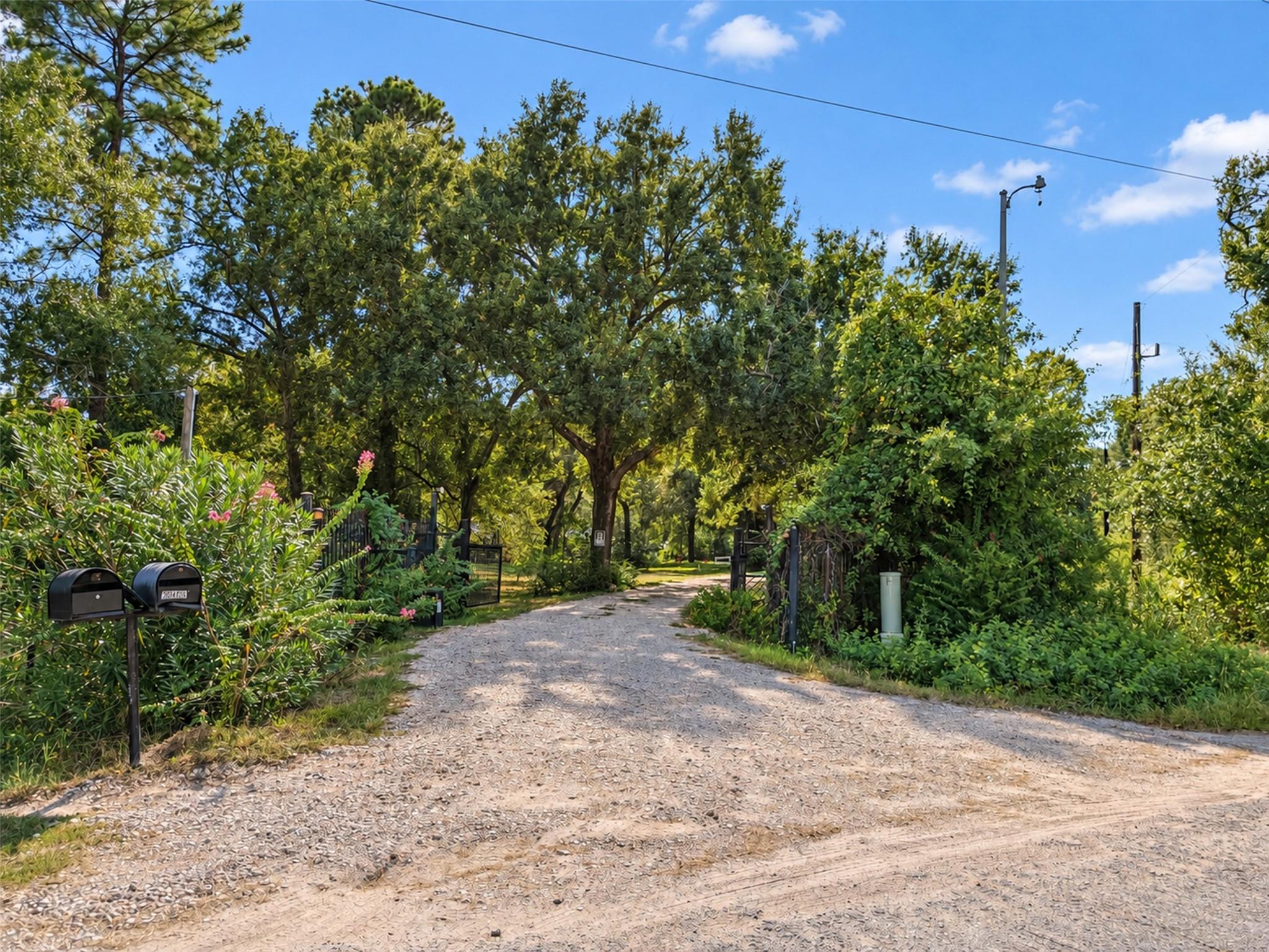 20403 Angeli Drive