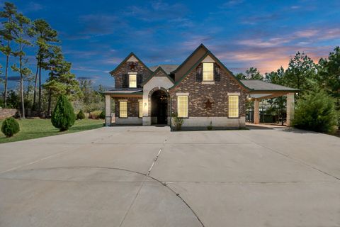 Photo of 160 Forest Trace Ln Ln, Willis, TX 77378 (MLS # 48808892)