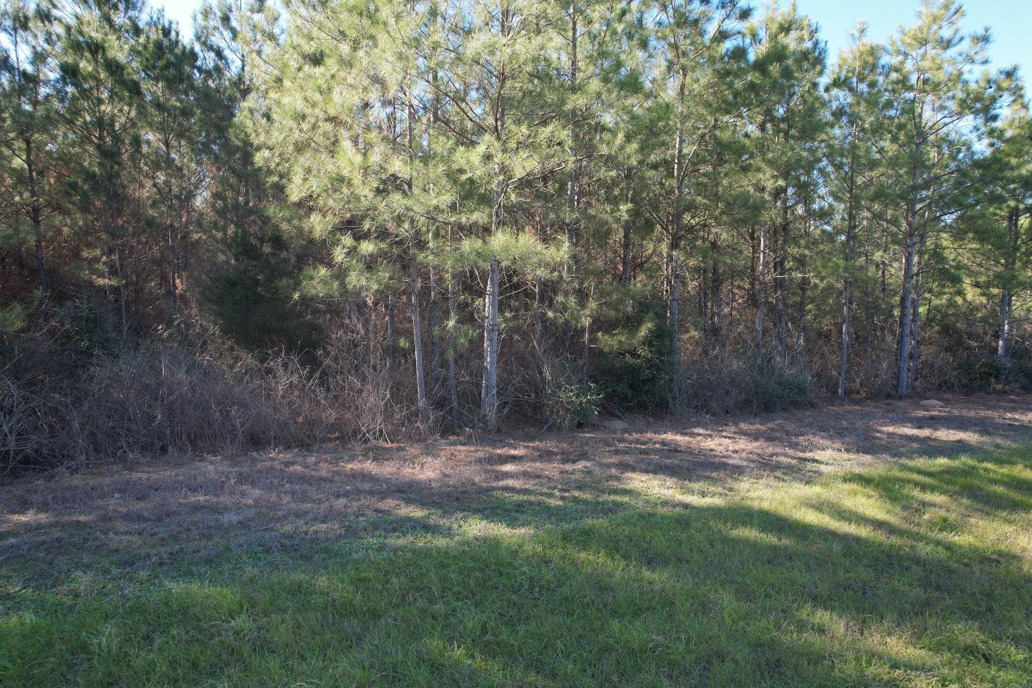 15991 Wood Grove Way