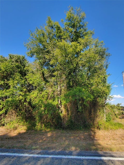 Photo of 8166 Fm 1362 N, Caldwell, TX 77836 (MLS # 20943106)