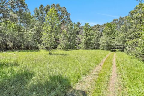 Photo of TBD Bill Adams Road, Kennard, TX 75847 (MLS # 76194210)