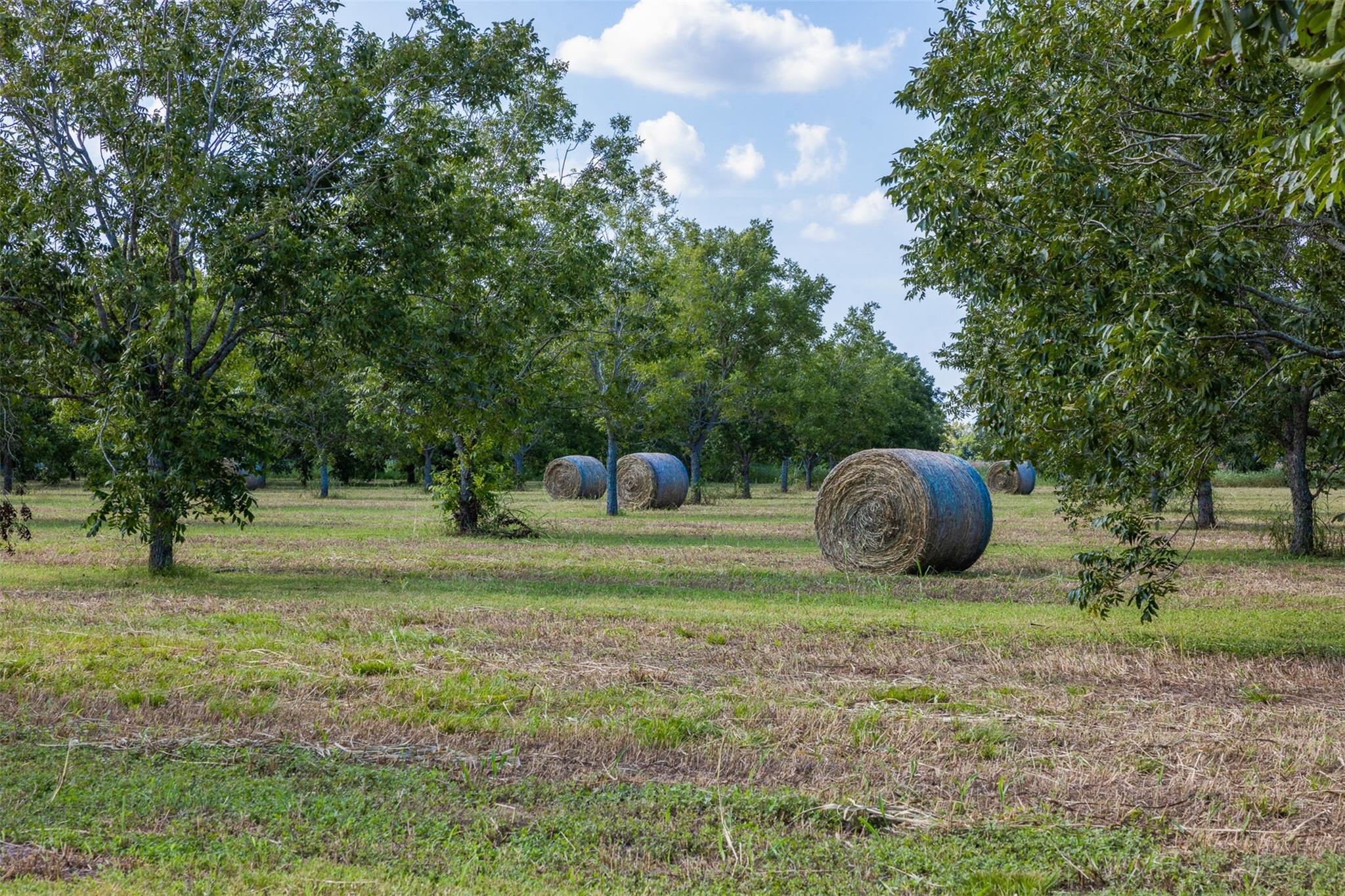402 County Road 111