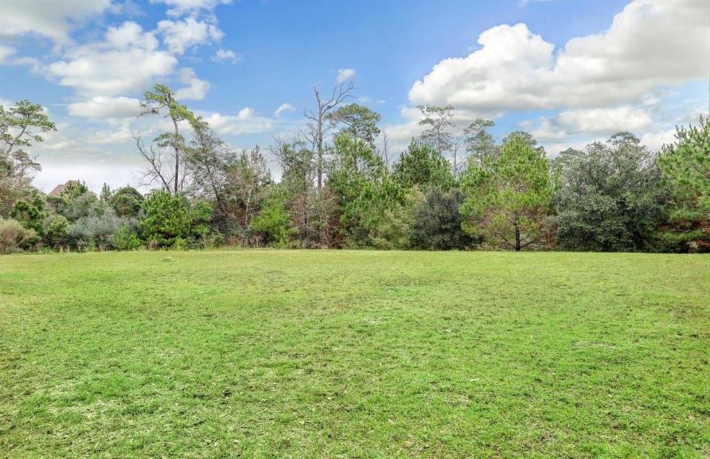 Photo of 1214 Welland Way, Houston, TX 77339 (MLS # 75300837)