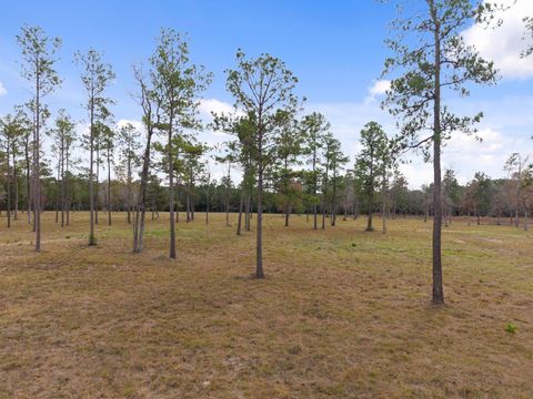 Vacant Land For Sale - TBD LOT 3 Fm 3152 Road<br/> Polk County, Livingston, TX 77351