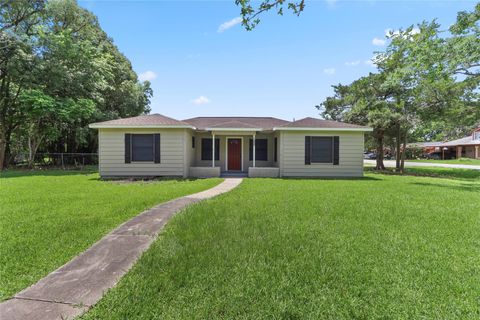 Photo of 102 S 5th Street, Alvin, TX 77511 (MLS # 47938063)