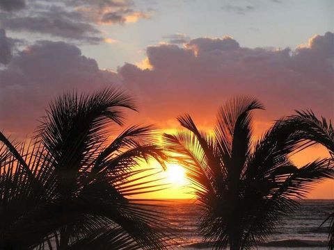 Photo of 64 La Carretera Mahahual-Uvero, TX 77539 (MLS # 47666157)