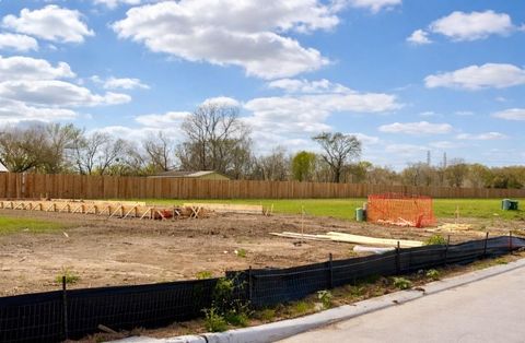 Tiny photo for 6007 Pineapple Street, Houston, TX 77048 (MLS # 49487679)