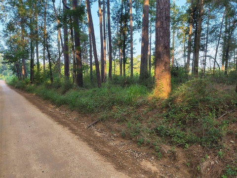 Vacant Land For Sale - TBD County Line Road<br/> Livingston, TX 77351