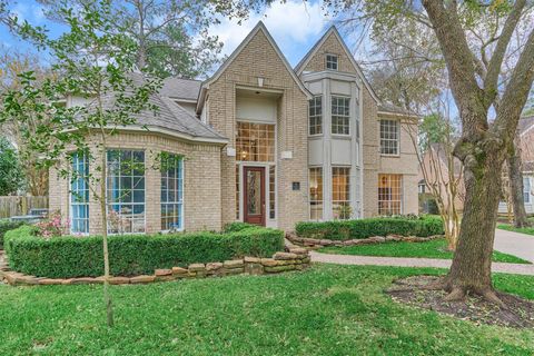 6 Meadow Cove Drive The Woodlands TX 77381