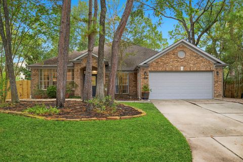 60 W Twinberry Place The Woodlands TX 77381
