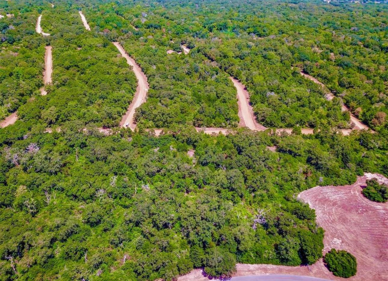 TBD Briar Patch Lane