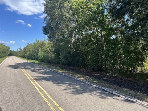 Vacant Land For Sale - County Road 814 Road<br/> Brazoria, TX 77422