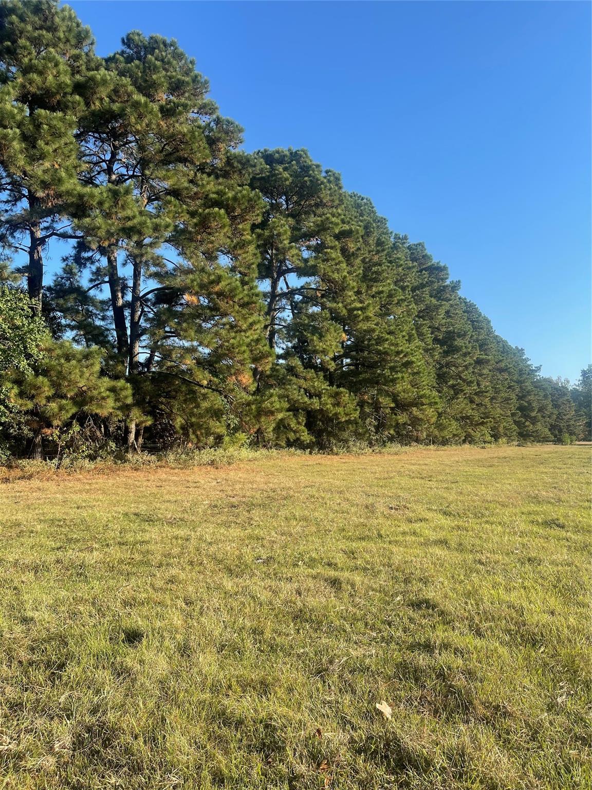 TBT 35.266 ACRES Fm 2854
