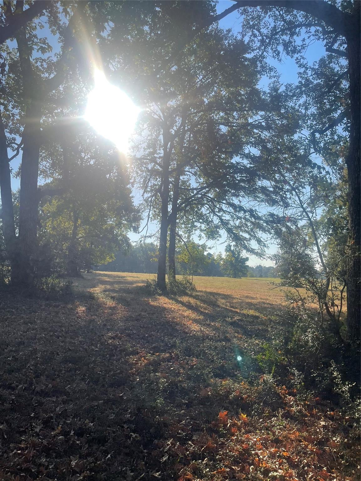 TBT 35.266 ACRES Fm 2854
