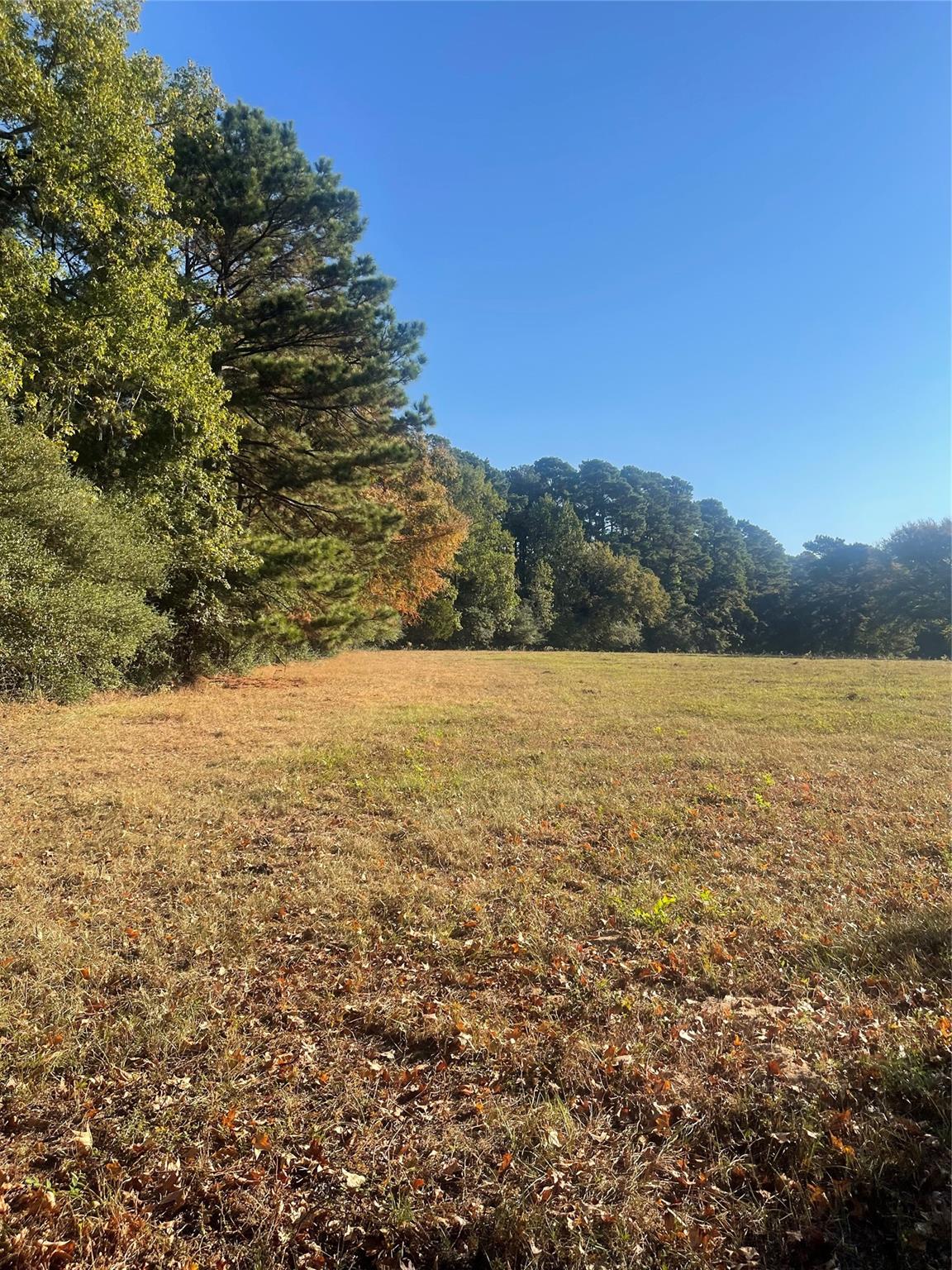 TBT 35.266 ACRES Fm 2854