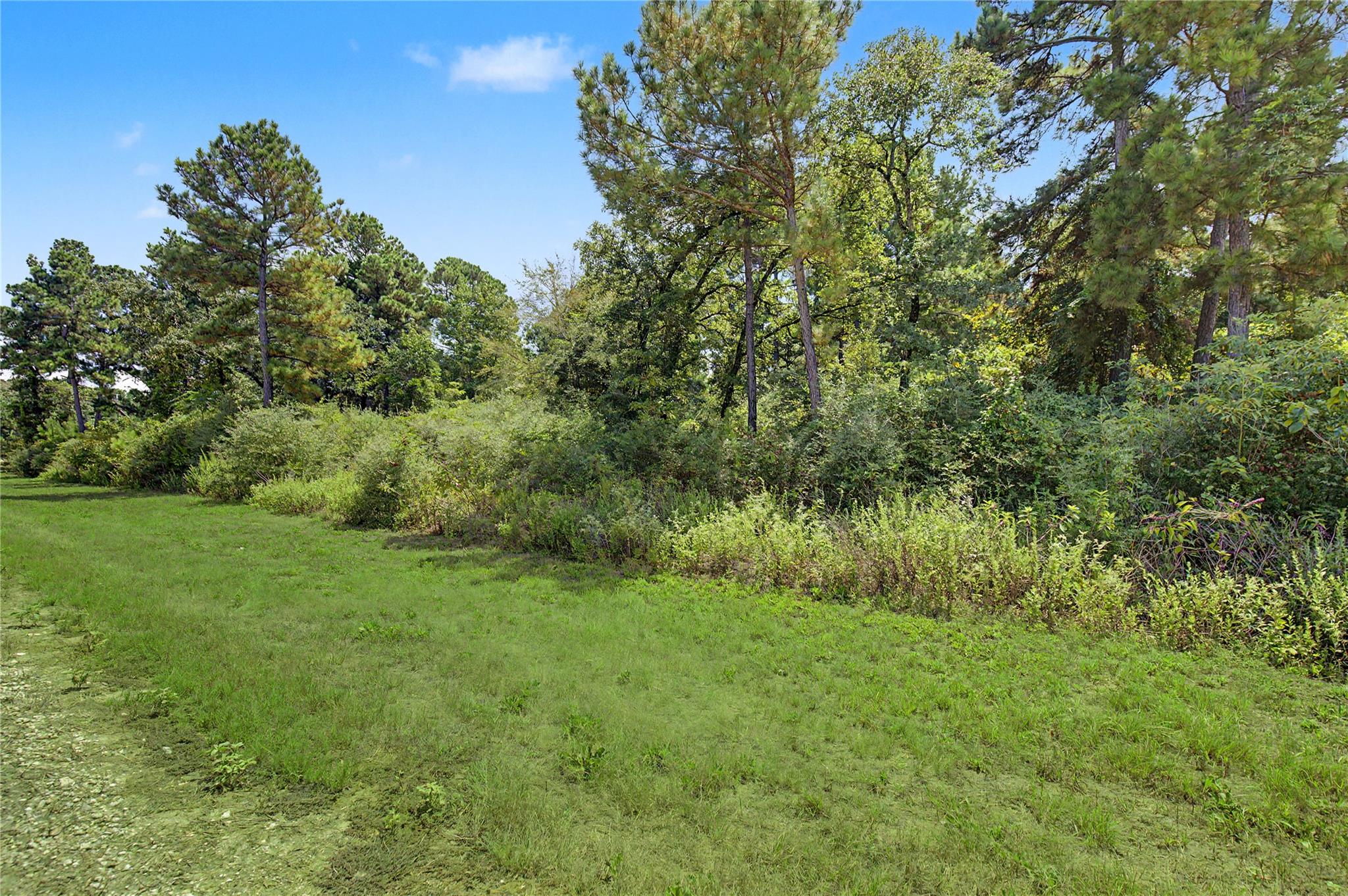 Lot 15 Woodland Hills Ranch