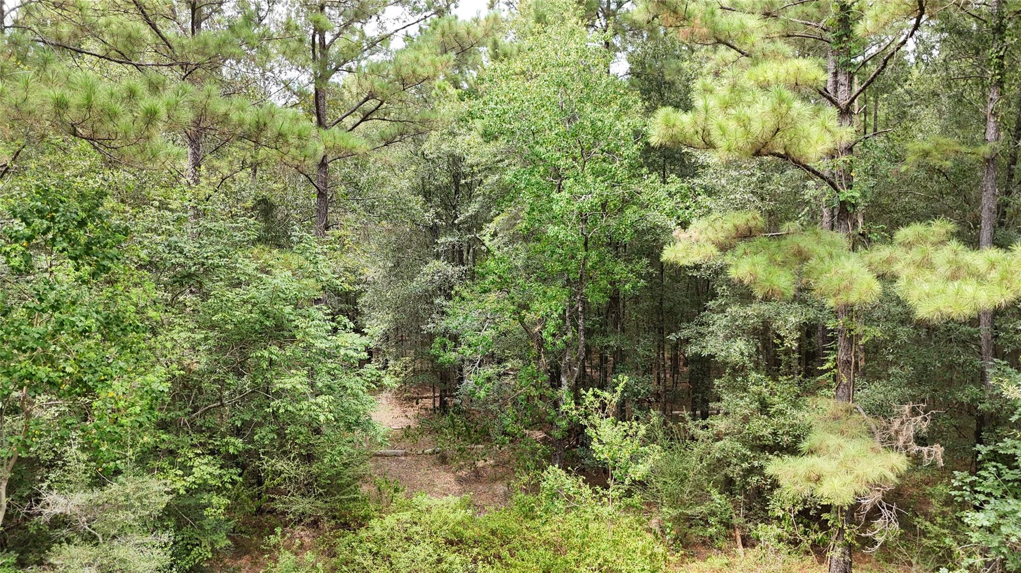 TBD Douglas Nugent Road
