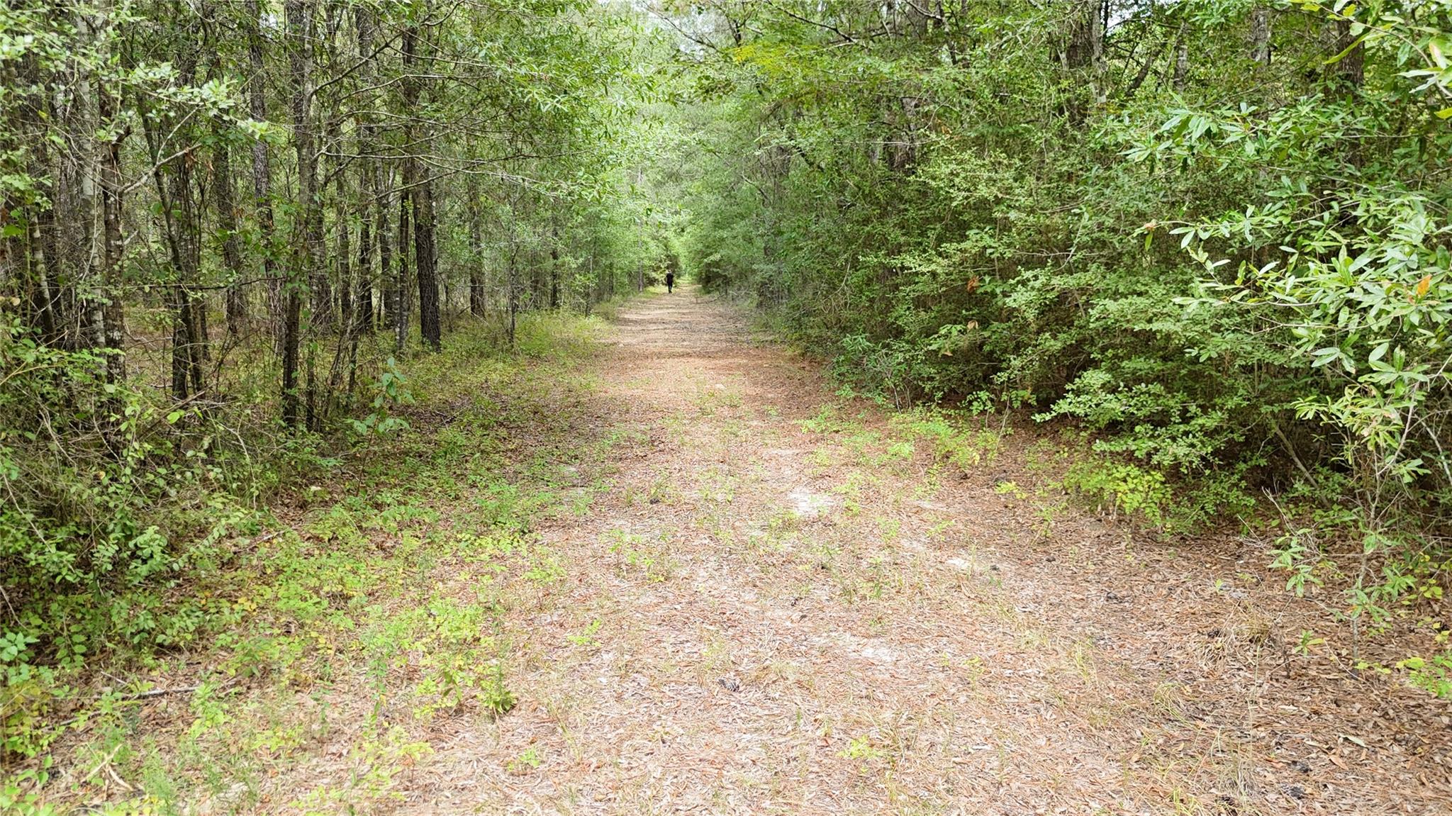 TBD Douglas Nugent Road