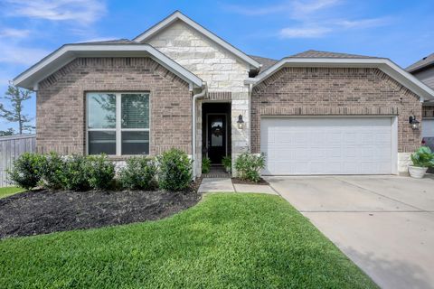 Photo of 20151 Bushwick Falls Drive, Montgomery, TX 77316 (MLS # 30566497)