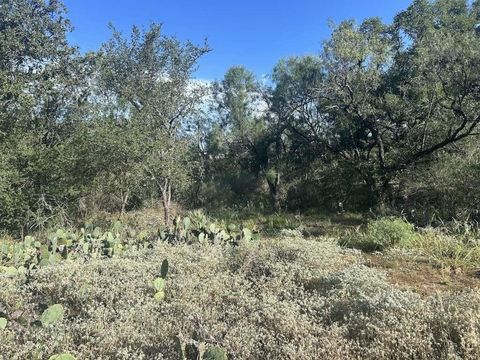 Photo of 0 Glen Forest Drive, Granite Shoals, TX 78654 (MLS # 84162323)