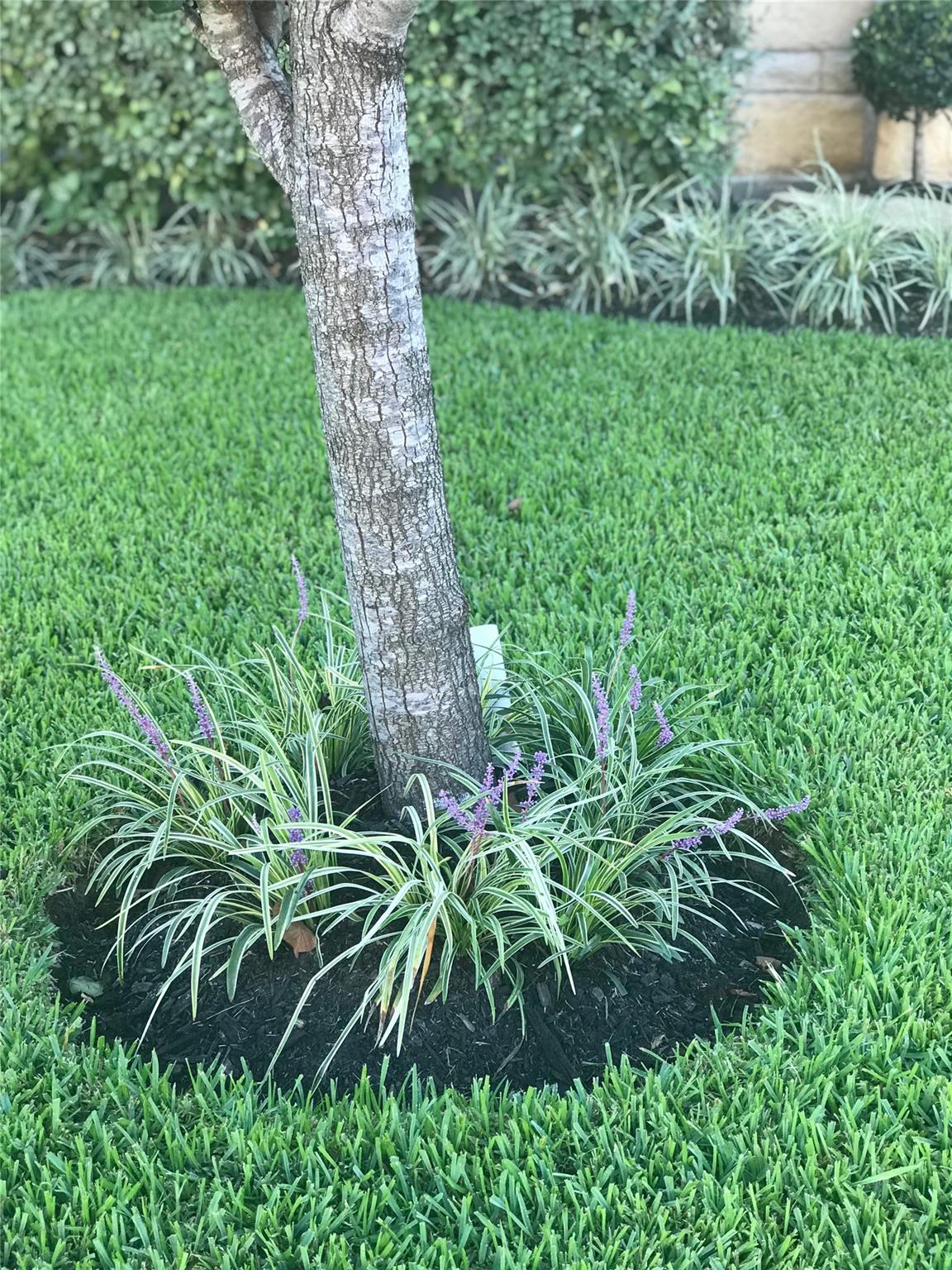 4411 Indian Gardens Way