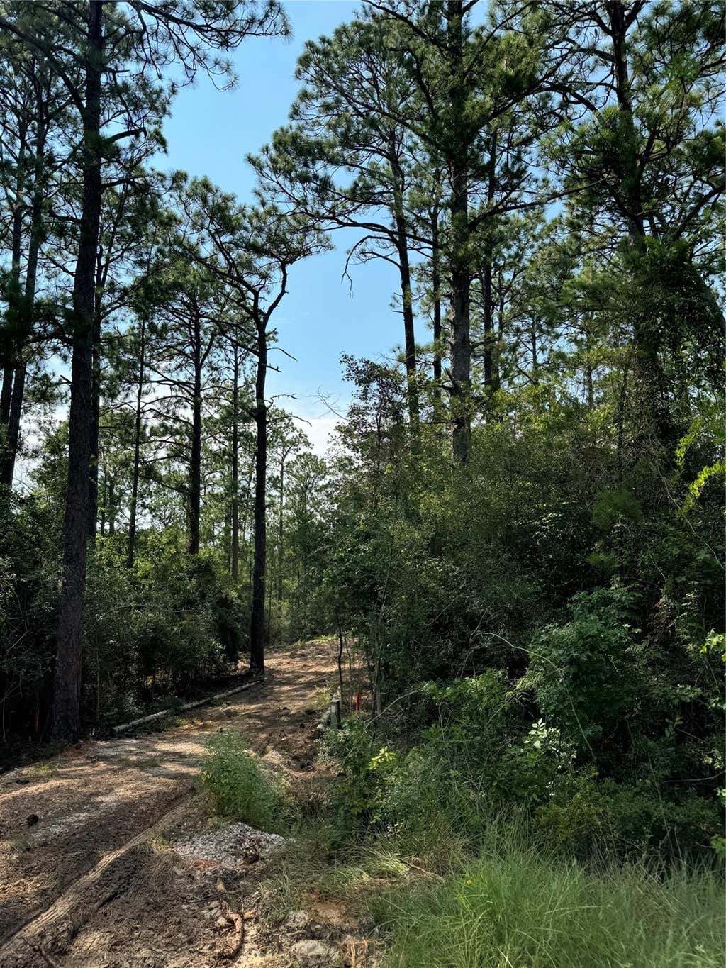 Photo of 565 Sparkleberry Drive, Brookeland, TX 75931 (MLS # 14225418)