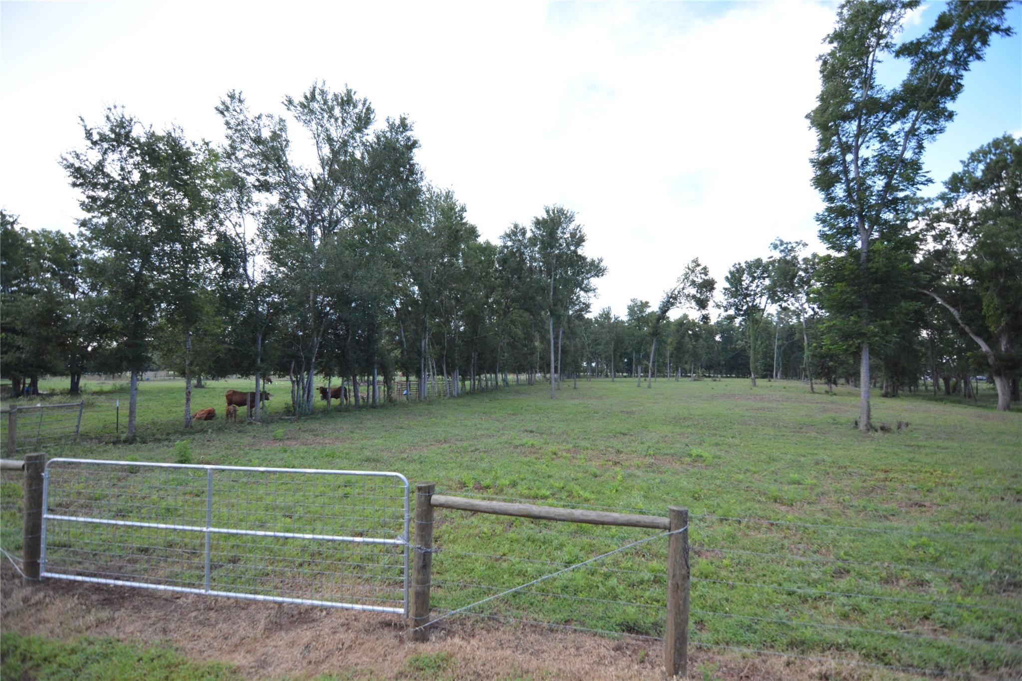 40617 Lg Lane