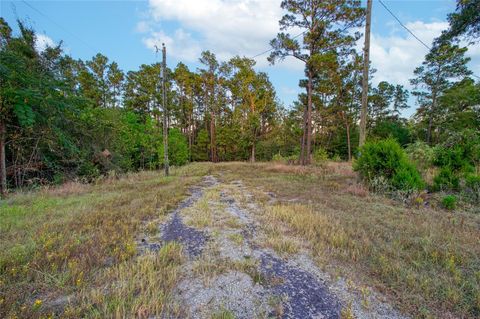 Vacant Land For Sale - 184 Willow Drive<br/> Onalaska, TX 77360