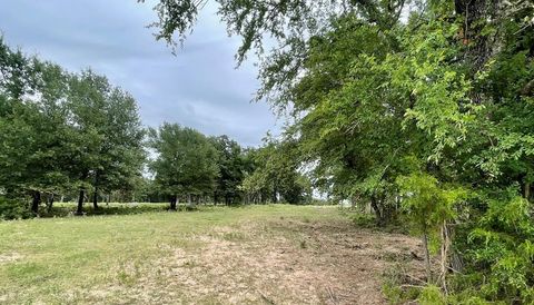 Photo of 737 Lcr 862, Donie, TX 75838 (MLS # 35174526) Photo of 737 Lcr 862, Donie, TX 75838 (MLS # 35174526)