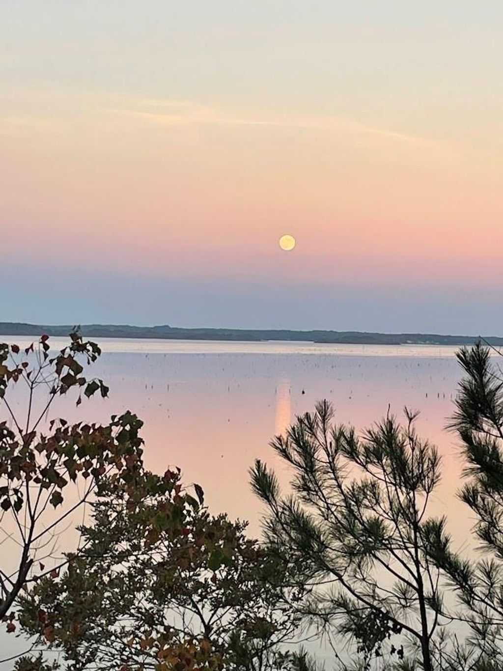 Photo of 4001 Carters Ferry Road E, Milam, TX 75959 (MLS # 41679915)