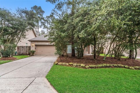 27 E Bellmeade Place The Woodlands TX 77382