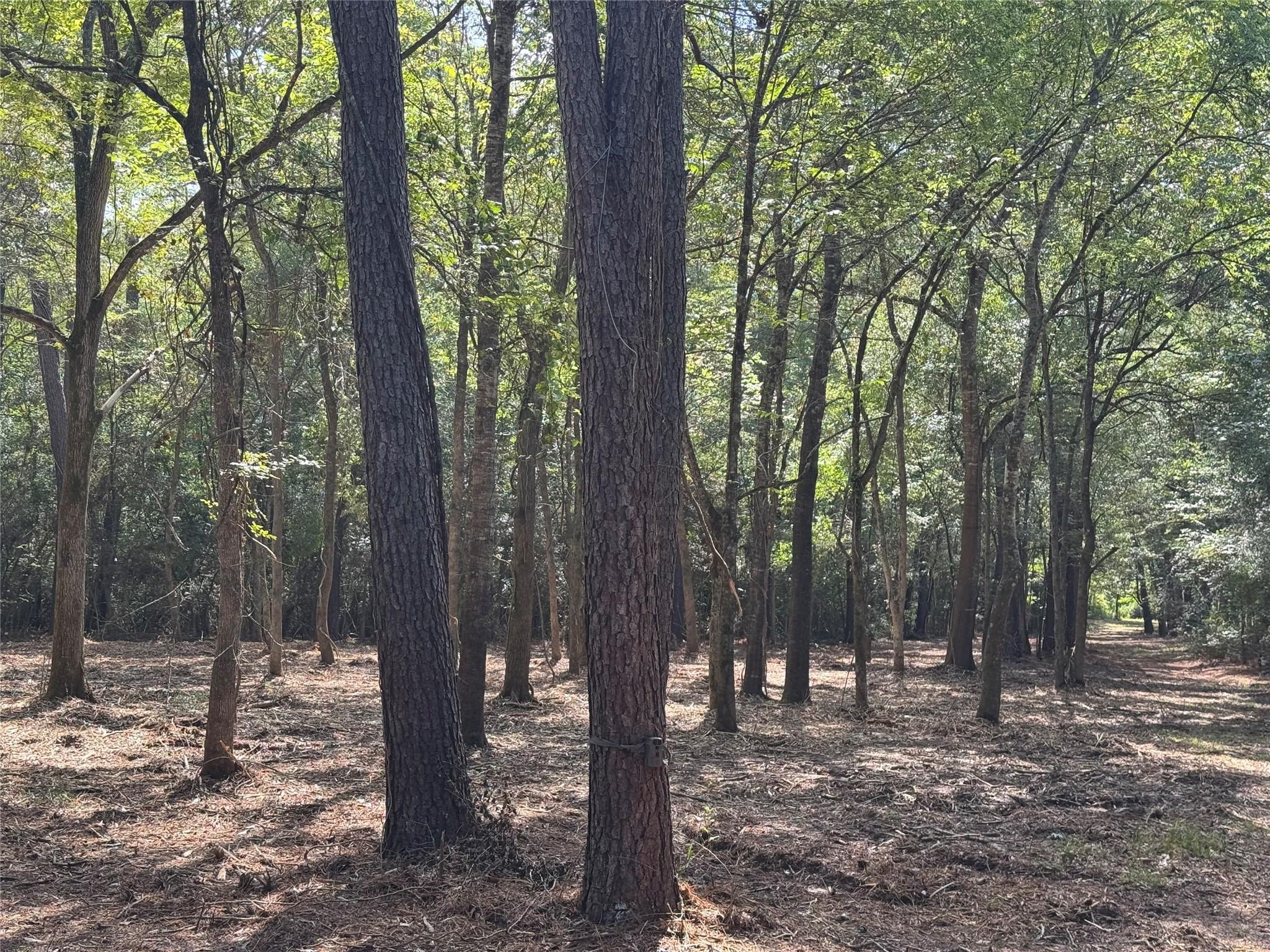 17 AC Lone Star Parkway