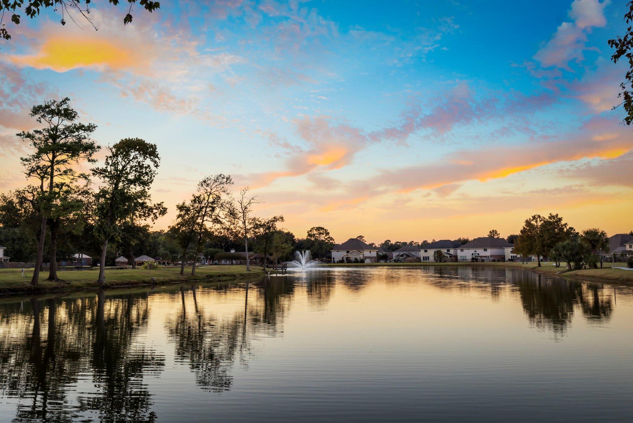 8223 Palmetta Spring Drive