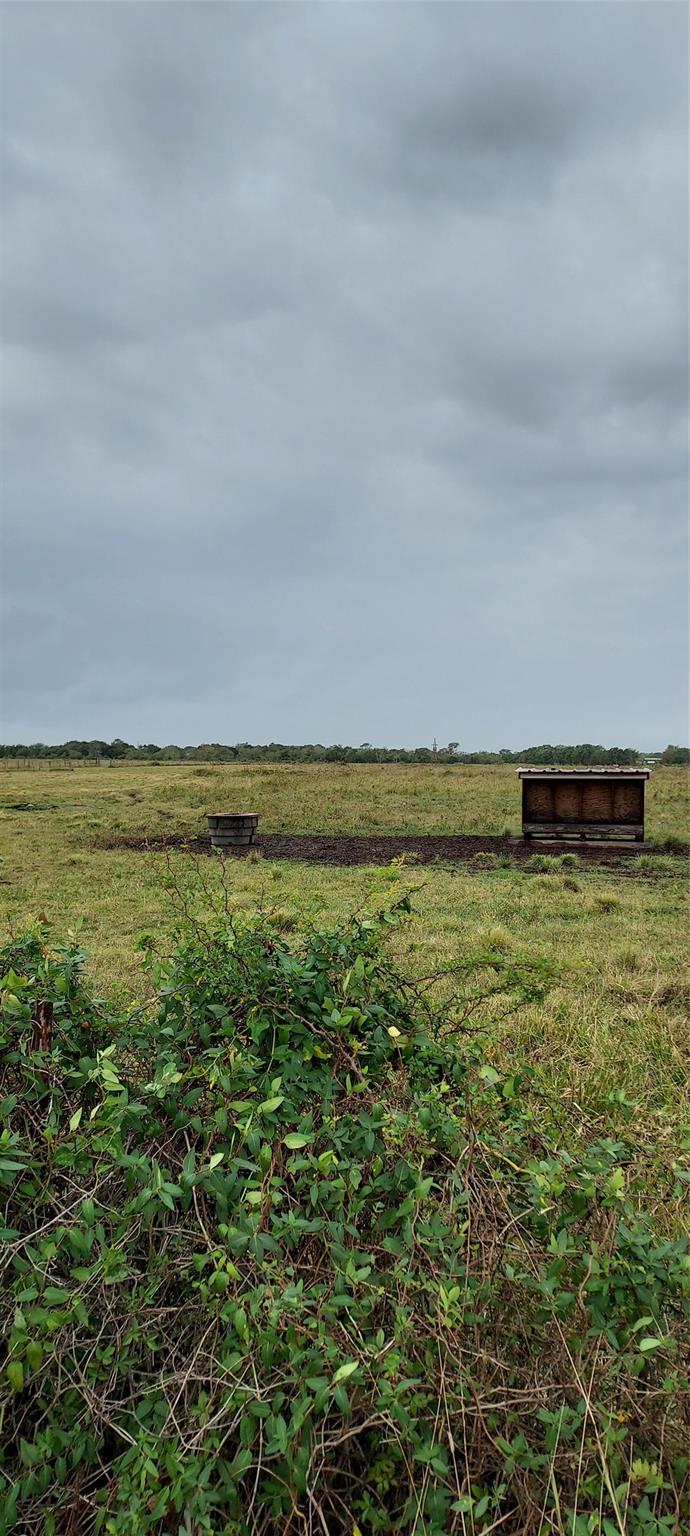 11700 Fm 2004