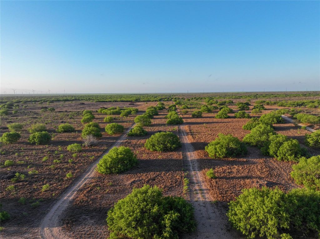 Photo of 0 Las Brisas Rd, Rio Grande City, TX 78582 (MLS # 12829433)