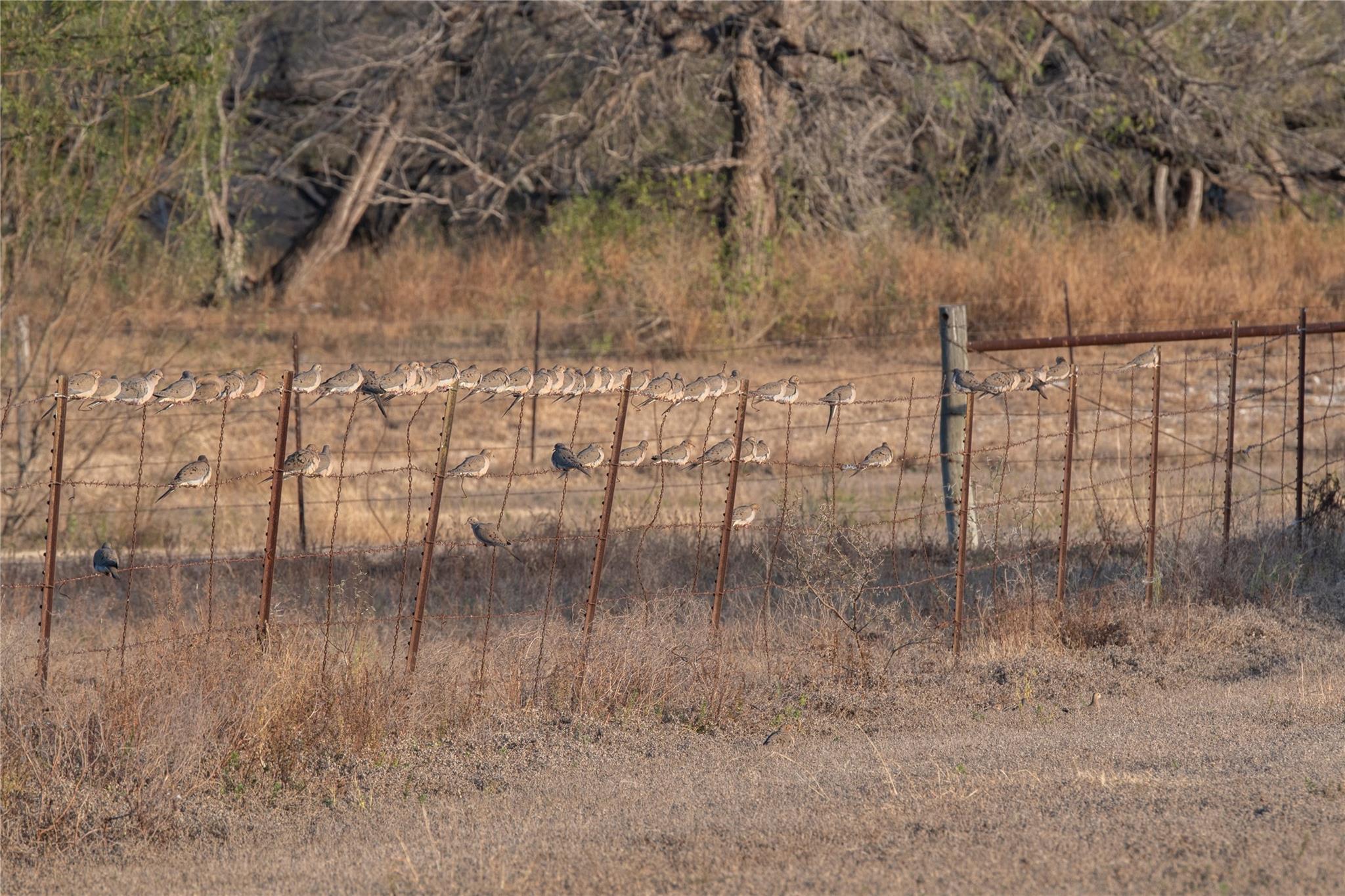 0 Las Brisas Rd