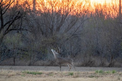 Photo of 0 Las Brisas Rd, Rio Grande City, TX 78582 (MLS # 12829433)