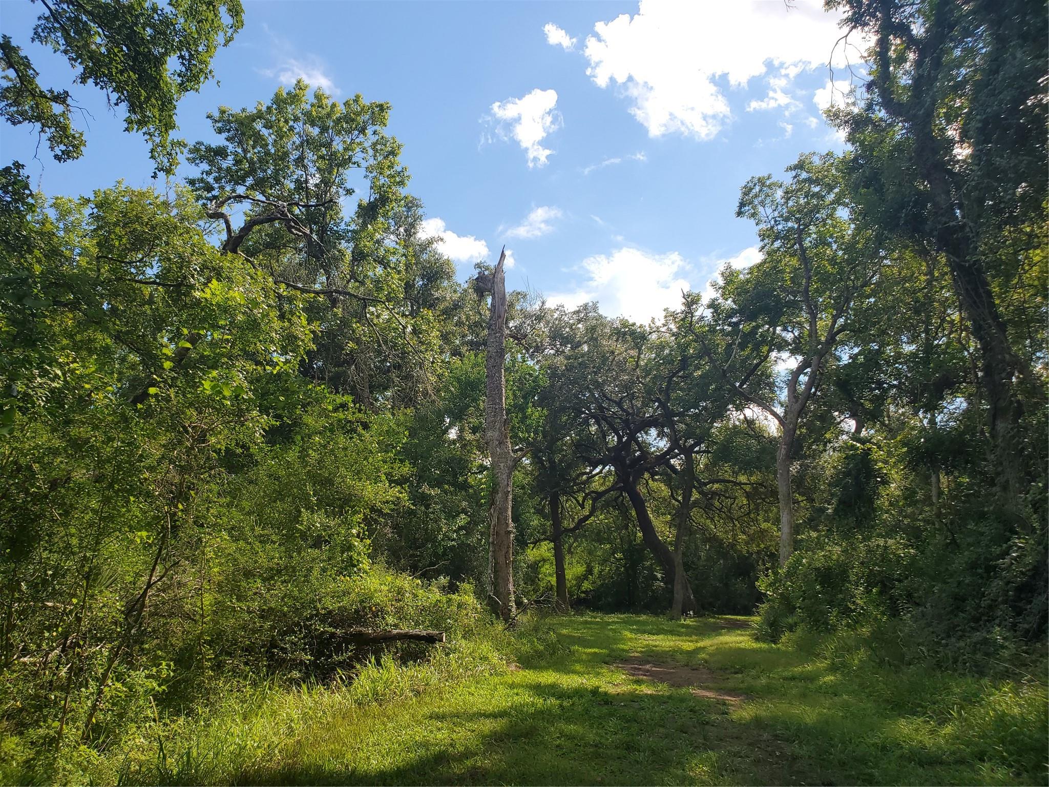 0 County Road 488b