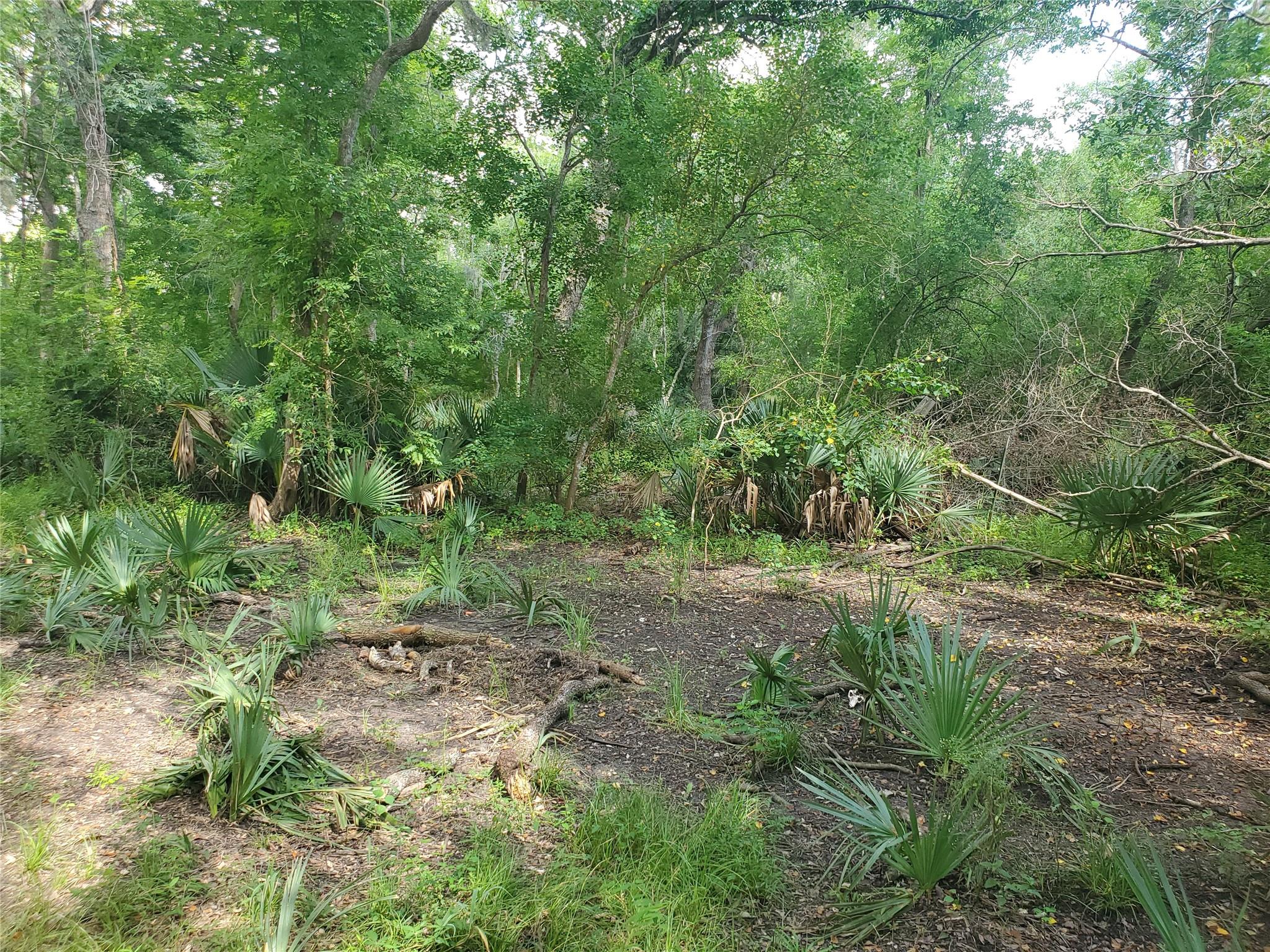 0 County Road 488b