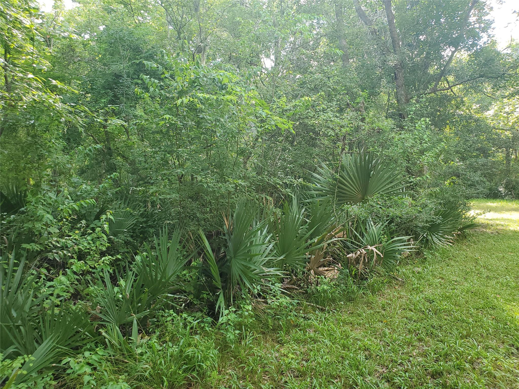 0 County Road 488b